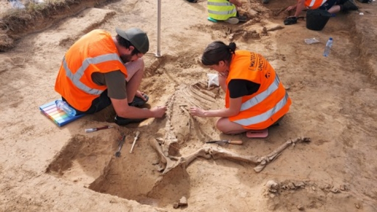 Des ossements humains et animaux datant de 1815 découverts à la ferme de Mont-Saint-Jean