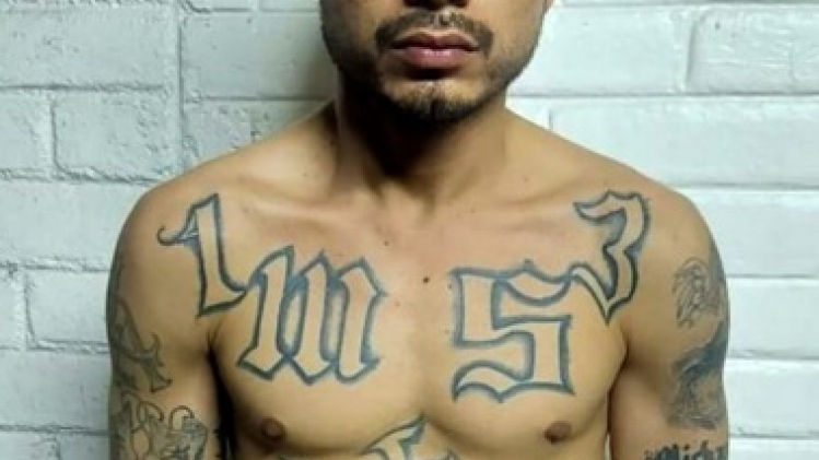 Salvador: jusqu'à 188 ans de prison pour des gangsters de la MS-13