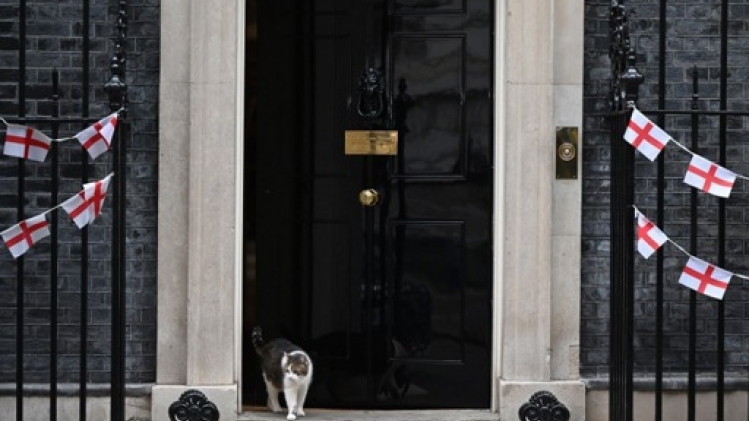 Colocation sensible à Downing Street: le chat Larry a un concurrent