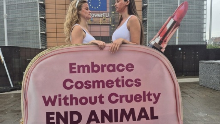 L'interdiction UE d'expérimentation animale dans l'industrie cosmétique est minée