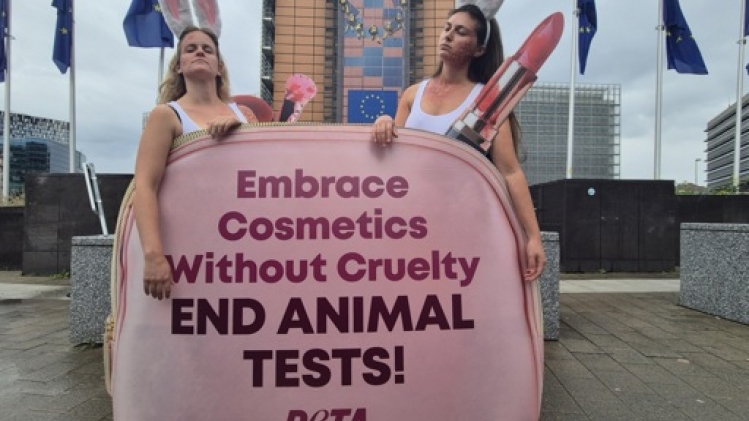 L'interdiction UE d'expérimentation animale dans l'industrie cosmétique est minée