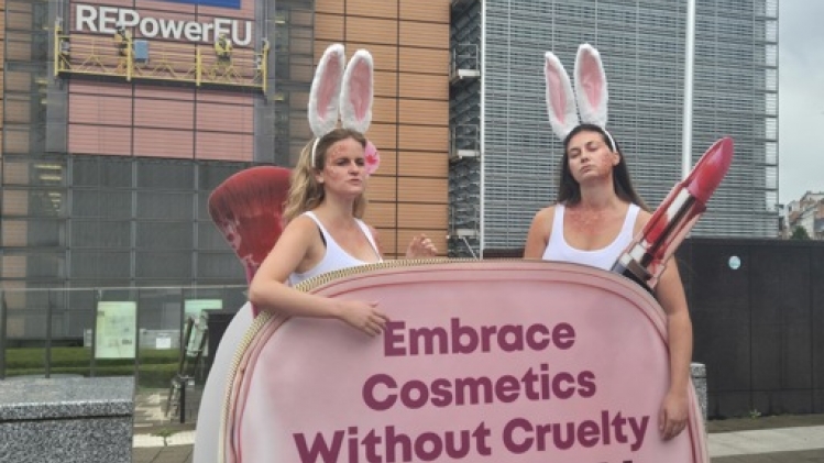 L'interdiction UE d'expérimentation animale dans l'industrie cosmétique est minée