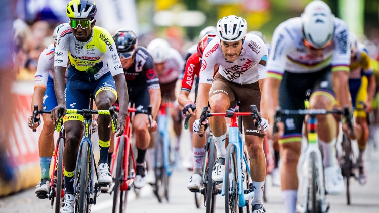 belgaimage-73999390_copie