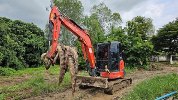 Thaïlande: 125 crocodiles abattus par crainte qu'ils ne s'échappent durant les crues