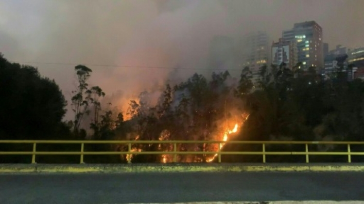 Equateur: la capitale Quito en état d'urgence face à 27 incendies de forêts