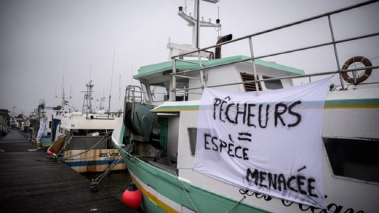 Golfe de Gascogne: 300 bateaux bloqués un mois à quai pour éviter la capture de dauphins