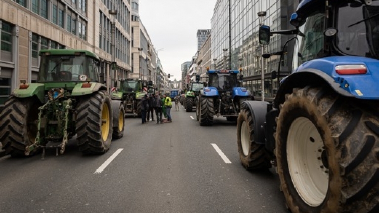Greenpeace appelle l'UE à soutenir l'agriculture écologique et les petits exploitants