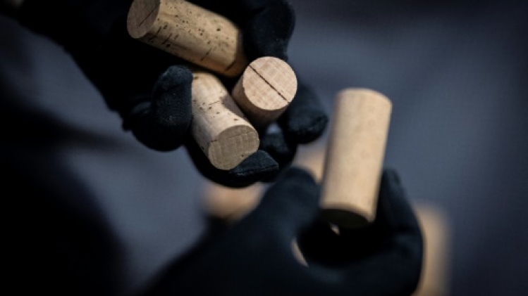 Le Portugal champion mondial du liège, matériau écologique en quête de nouveaux débouchés