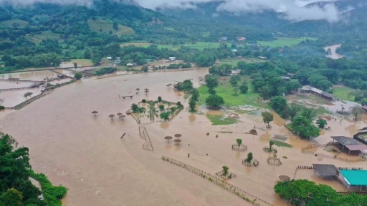 Thaïlande: une centaine d'éléphants piégés par les inondations