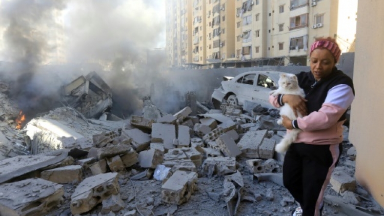 Liban: missions périlleuses pour récupérer les animaux dans les maisons bombardées