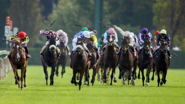 Prix de l'Arc de Triomphe: 16 pur-sang anglais courrent après un titre mondial