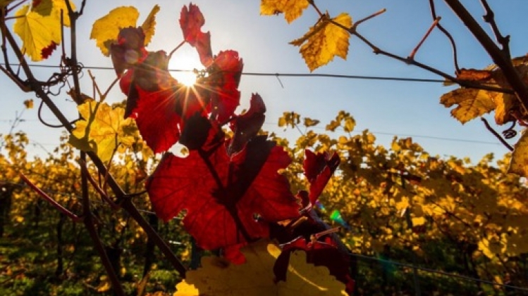 Dernières heures de franc soleil avant le retour des nuages d'abord et de la pluie ensuite