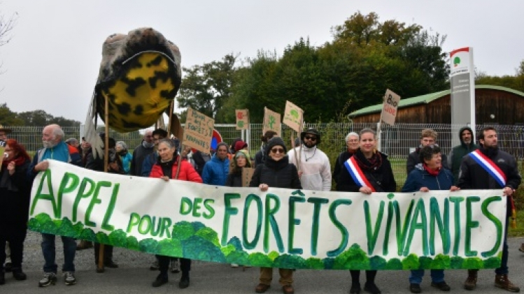 Creuse : manifestation d'opposants contre l'industrialisation de la forêt