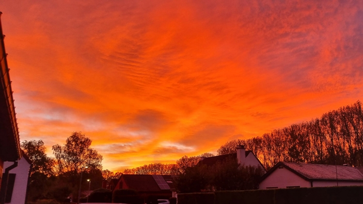 1e2f75f6-9607-bd4a-43af-dc70368518ef-20241006_074012