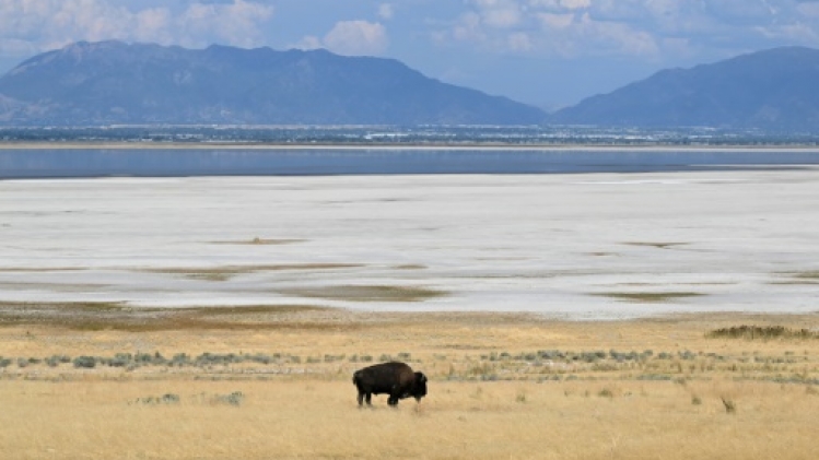Malgré l'assèchement du Grand Lac Salé, l'Utah pardonne le climatoscepticisme de Trump