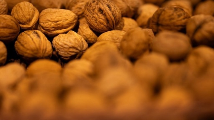 La coopérative Cera réitère l'opération solidaire de collecte de noix Crac Noix