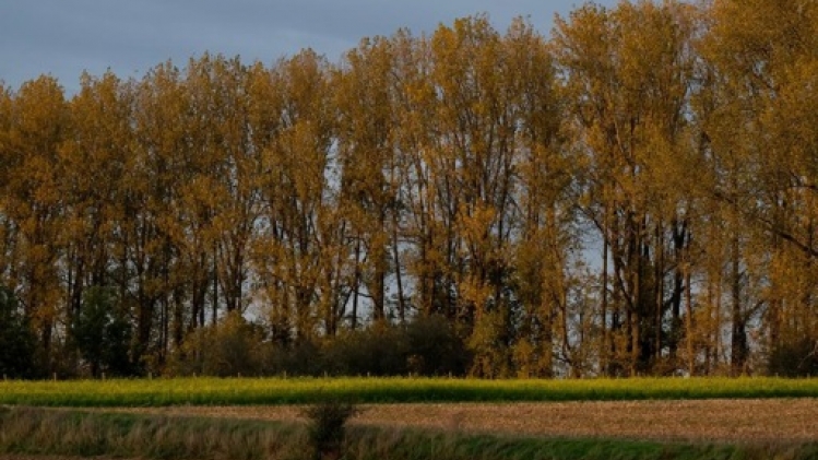 Un temps sec et doux pour débuter la semaine