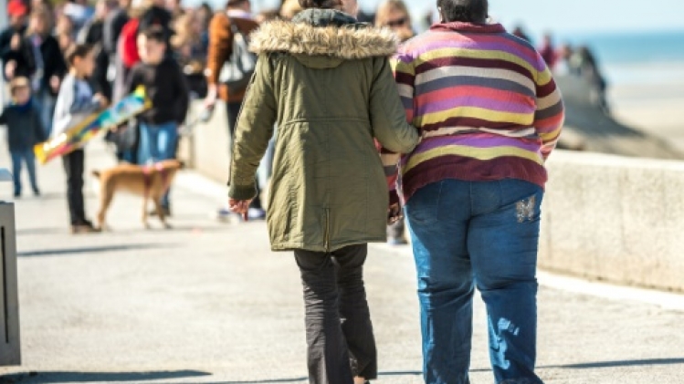 L'anti-obésité Wegovy arrive en France, encadré et pas remboursé