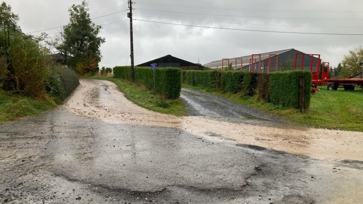 Edition numérique des abonnés