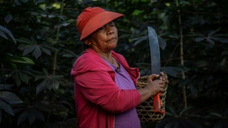 En Colombie, les communautés indigènes au défi de l'assèchement du fleuve Amazone
