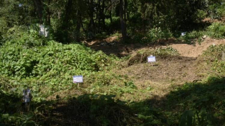 En Corée du Sud, la lutte contre l'oubli de femmes forcées à se prostituer pour l'armée US