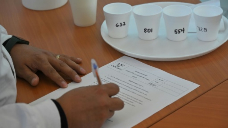 En Equateur, des goûteurs d'eau pour la capitale Quito