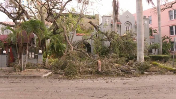 85872c0e6df5f1978462bc59cfc681c872088a5b