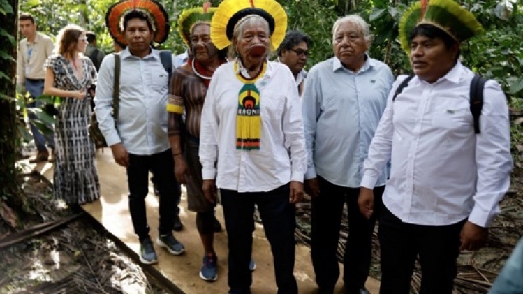 Brésil: l'exploitation illégale de bois en hausse en Amazonie