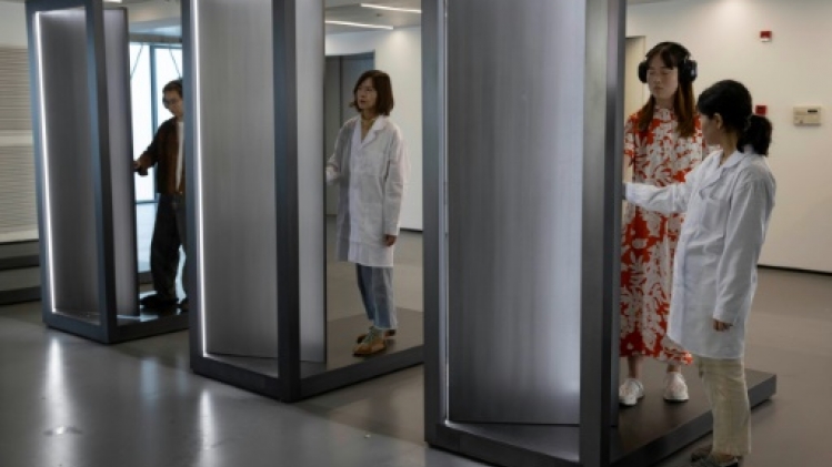 Baignoires remplies de fleurs, séparer des grains de riz: l'exposition Abramovic à Shanghai