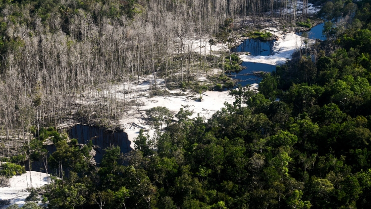 Le "poumon de la planète" en danger: au Brésil, les incendies ont brûlé une superficie plus grande que celle du Bélarus 
