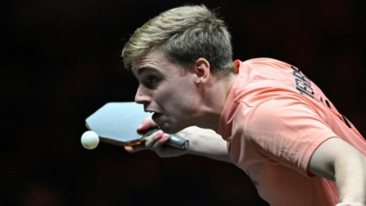 Tennis de table: les frères Lebrun ont l'Europe à leur portée