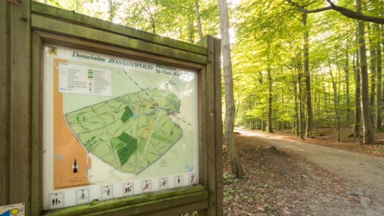 La journée de la forêt de Soignes célébrée ce dimanche