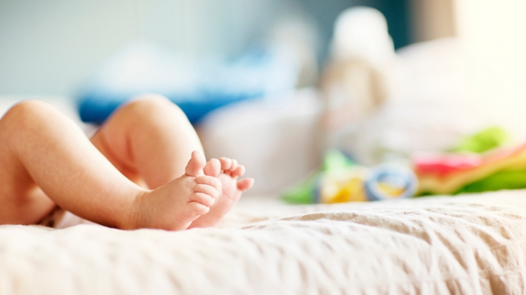 adobestock_279229614