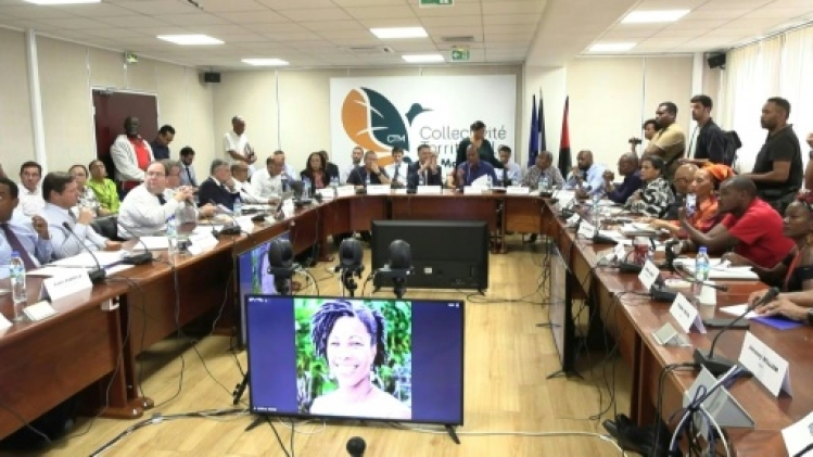 Les grands distributeurs en Martinique, boucs émissaires ou profiteurs de la vie chère ?