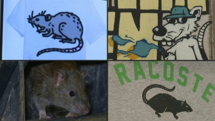 Le rat, nouvel emblème cool et décalé de Marseille