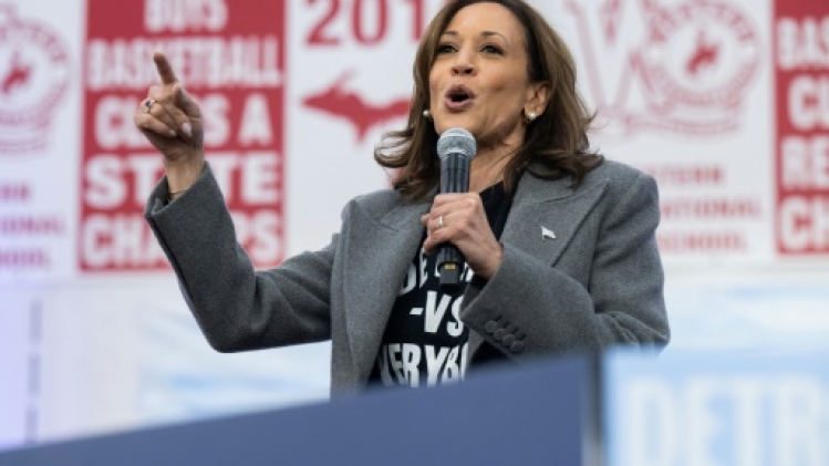 Harris soutenue par Lizzo et Usher, Trump par Elon Musk