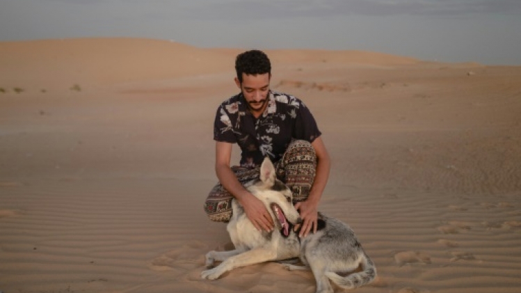 Le husky du désert, nouvelle mode en Mauritanie