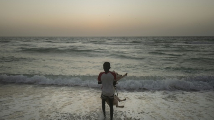 Le husky du désert, nouvelle mode en Mauritanie
