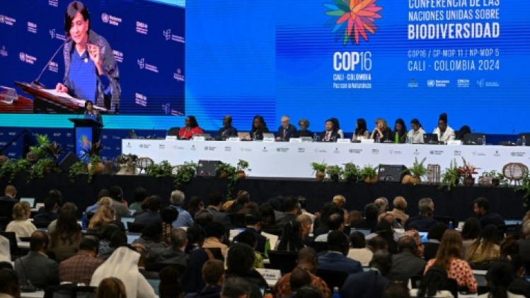 Colombie: ouverture de la COP16 biodiversité pour faire la Paix avec la nature