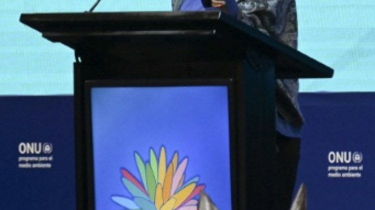 Colombie: ouverture de la COP16 biodiversité pour faire la Paix avec la nature