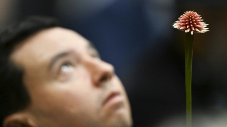 Colombie: ouverture de la COP16 biodiversité pour faire la Paix avec la nature