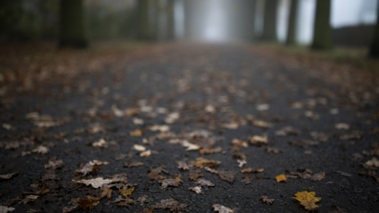 Le temps sera plus sec mardi