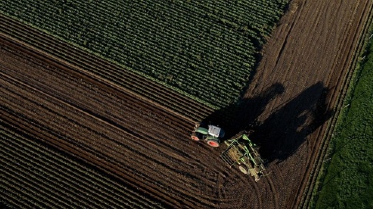 Près de 21 pesticides présents en moyenne dans les chambres à coucher en Flandre