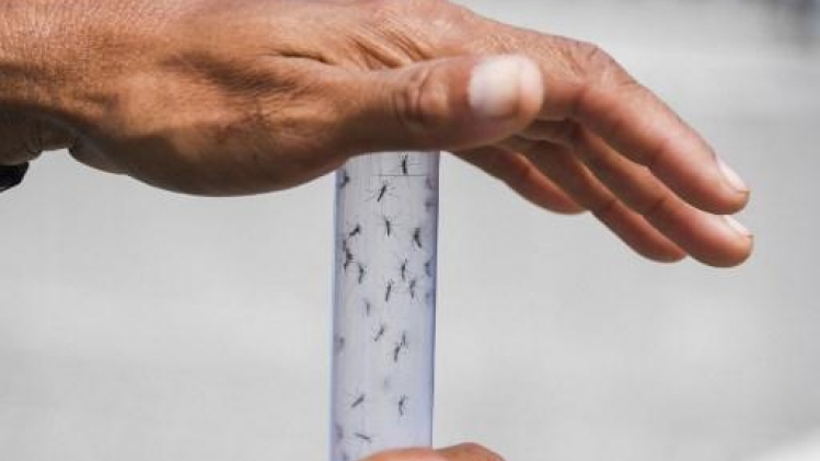 La déforestation en Amazonie entraîne une augmentation des cas de paludisme