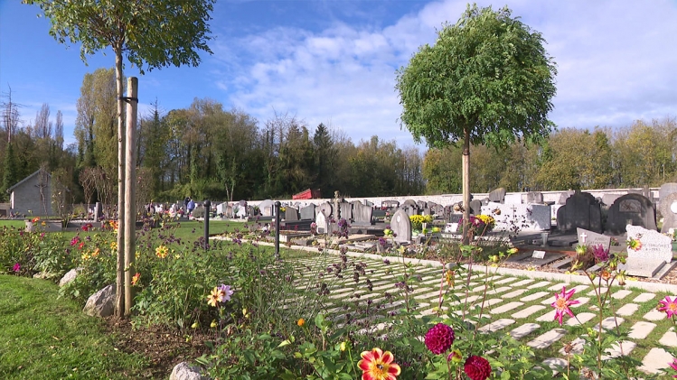 "Avant, c'était du gravier, c'était plus froid": à Andenne, les cimetières sont fleuris toute l'année 