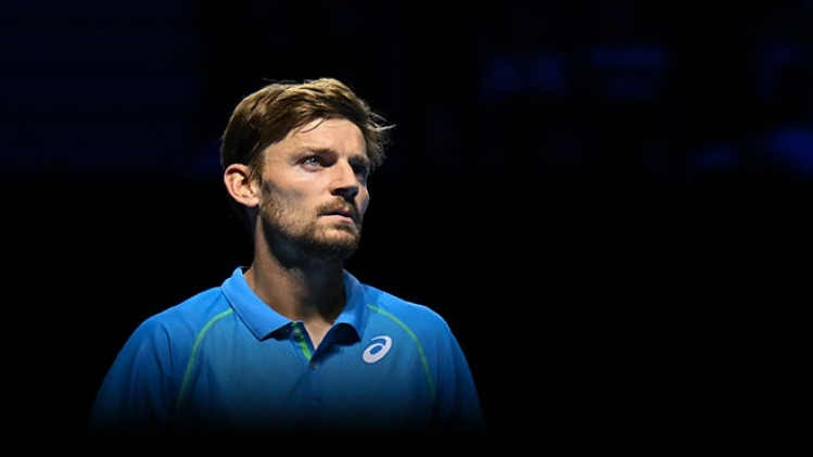 David Goffin
