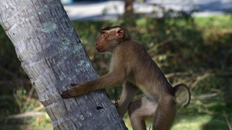 belgaimage-102850233