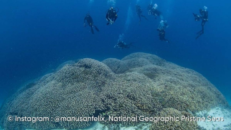 Edition numérique des abonnés