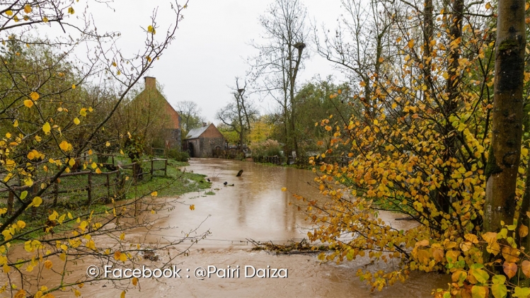 Edition numérique des abonnés