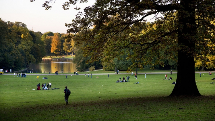 Le Bois de la Cambre